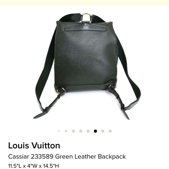 Louis Vuitton Cassiar 233589 Leather Backpack main image 9